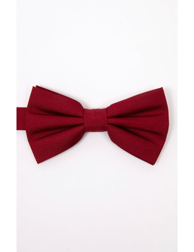 Noeud papillon en soie