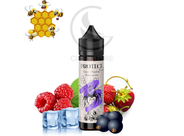 CASSIS-FRAMBOISE-FRAISE DES BOIS - PROTECT