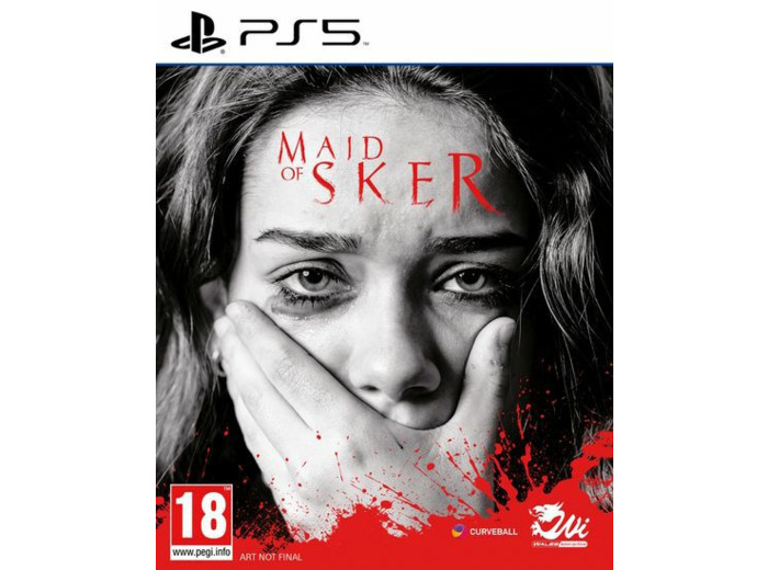 Maid Of Sker - Occasion