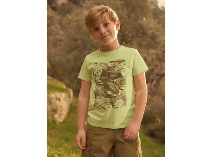 T-shirt Dinosaure