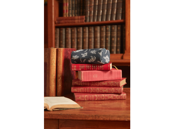 Trousse imprimé dinosaure