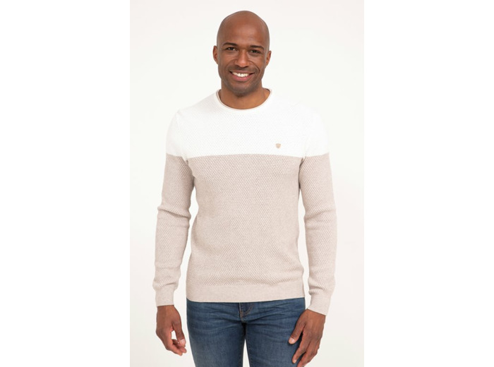 Pull col rond rayé Big