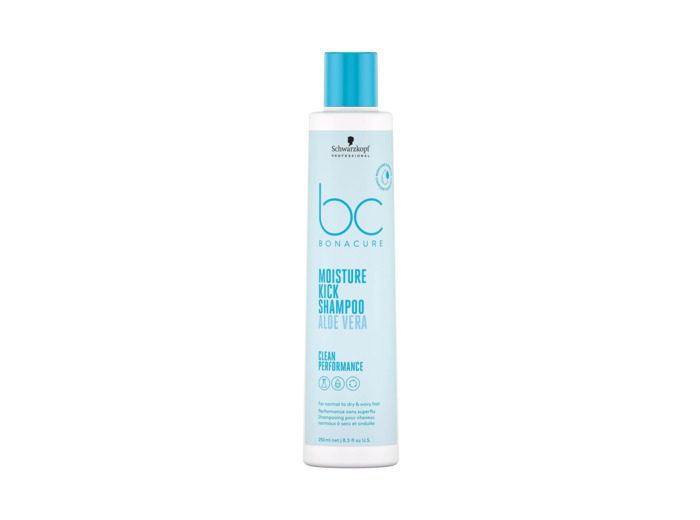 Shampoing hydratant cheveux secs...