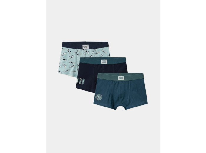 Lot de 3 boxers skate en jersey