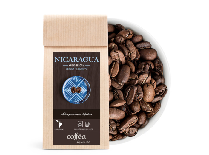 Cafe Nicaragua Maragogype