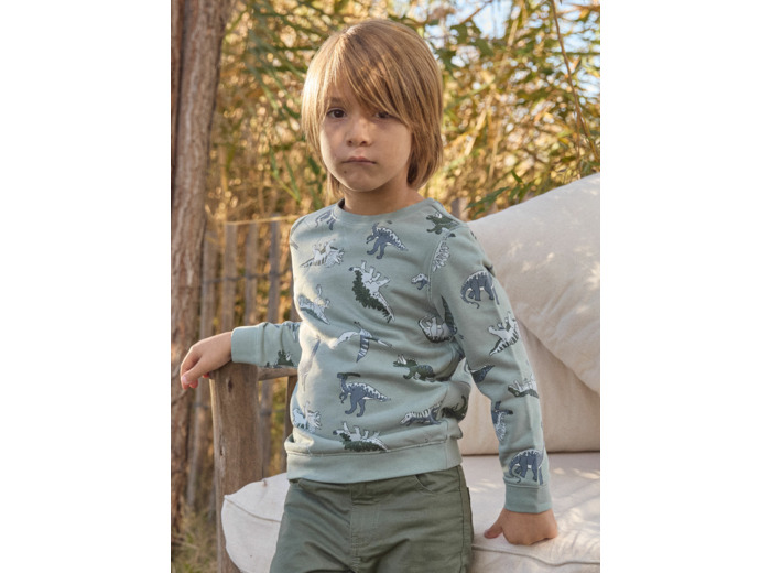 Sweat-Shirt Dinosaures
