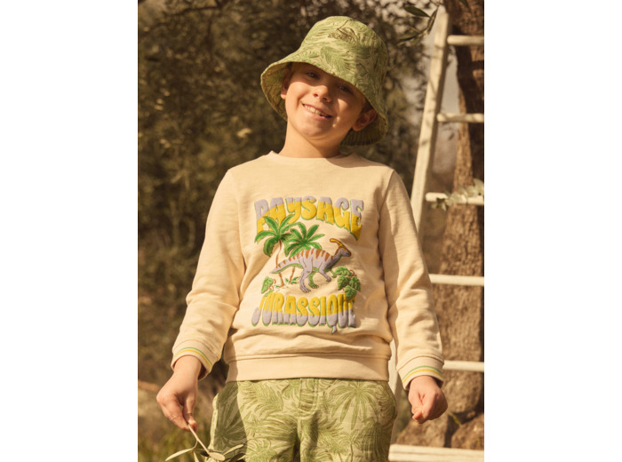 Sweat-shirt Jurassique