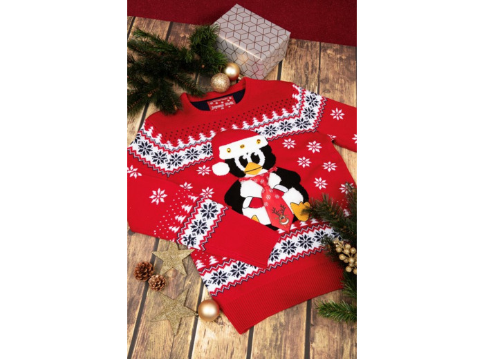 Pull Noël Pingouin