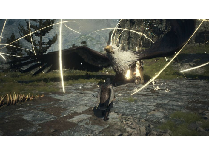 Dragon's Dogma 2 | Occasion