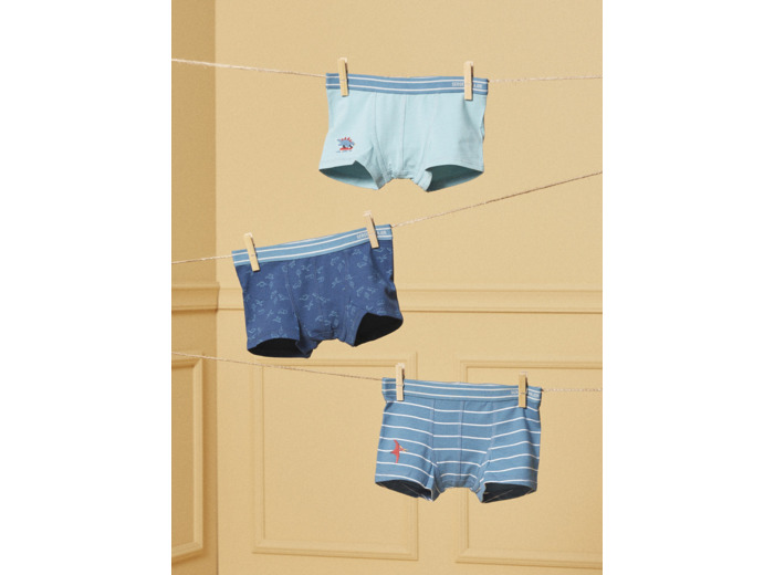 Lot de 3 boxers Dino