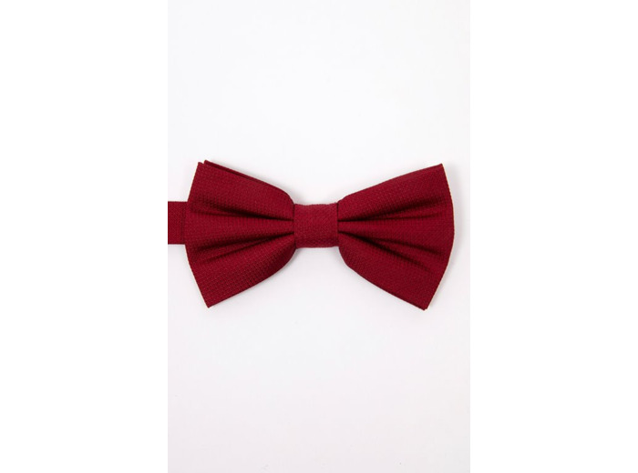 Noeud papillon en soie