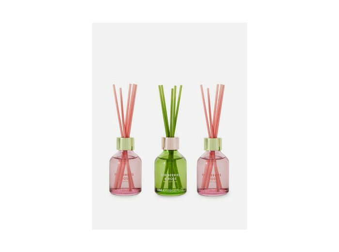 Lot de 3 mini diffuseurs à bâtonnets