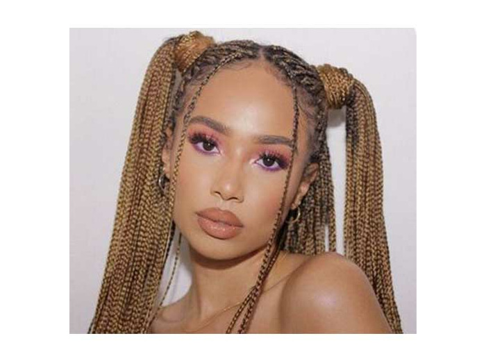 BRAIDS MI LONG FINES