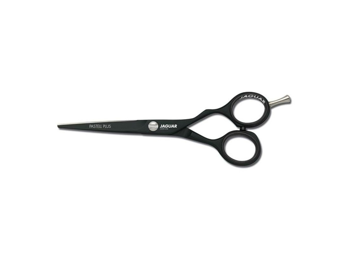 Ciseaux droits Pastell plus...