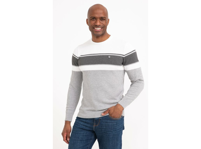 Pull col rond rayé Abeille