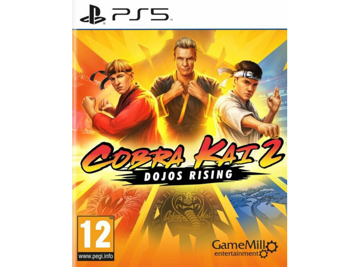 Cobra Kai 2 Dojos Rising - Occasion