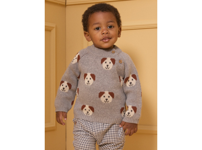 Pull jacquard chiens