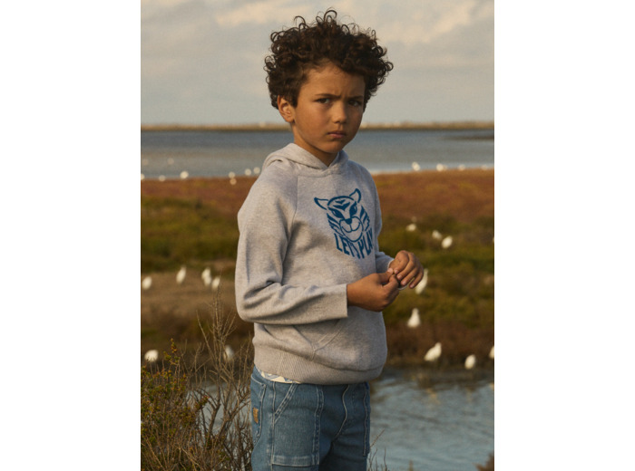 Pull Tigre à Capuche